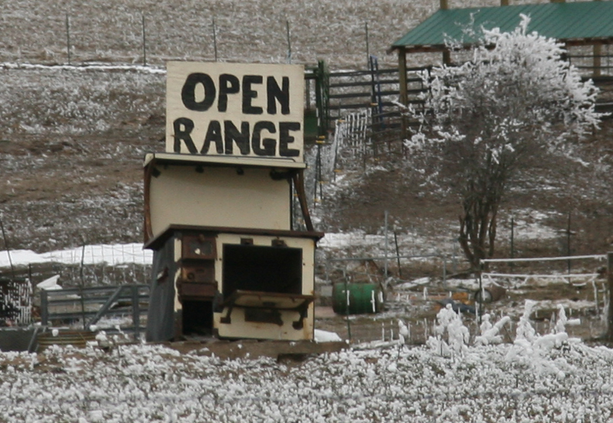 open range